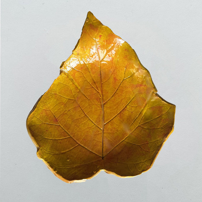 Foglia gialla big