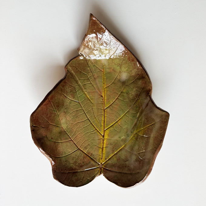 Foglia Marrone e gialla